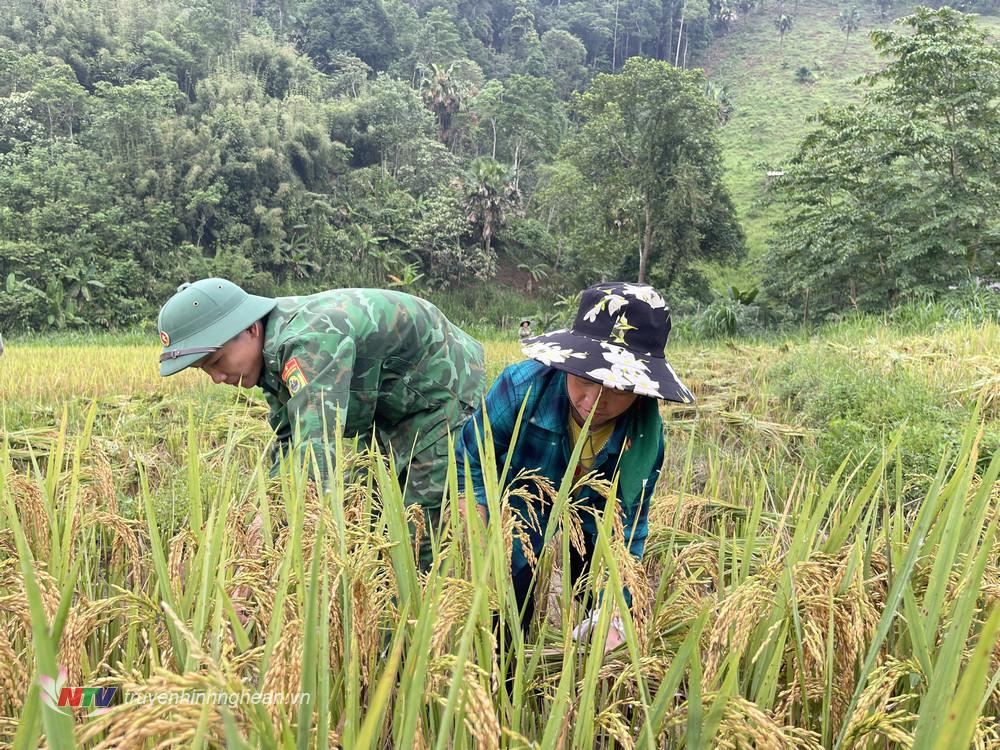 Đây là việc làm thường xuyên của cán bộ, chiến sĩ Đồn Biên phòng Tam Hợp. 