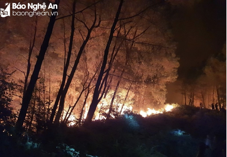 Cháy rừng ban đêm ở xã Nam Thái, Nam Đàn. Ảnh: PV