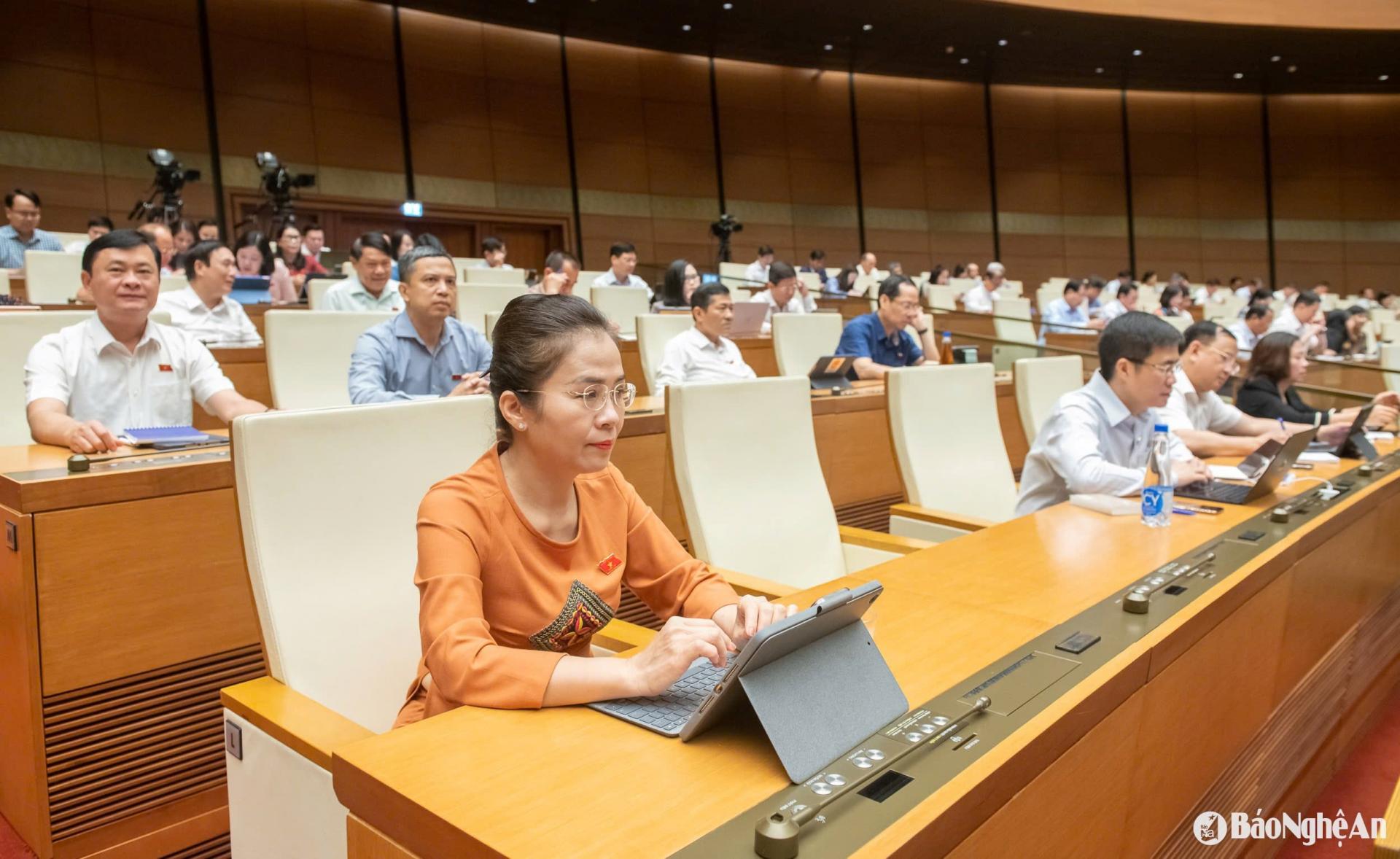 Đồng chí Võ Thị Minh Sinh - Phó Bí thư Tỉnh ủy, Chủ tịch Ủy ban MTTQ Việt Nam tỉnh, Trưởng đoàn ĐBQH tỉnh Nghệ An và các ĐBQH dự họp.