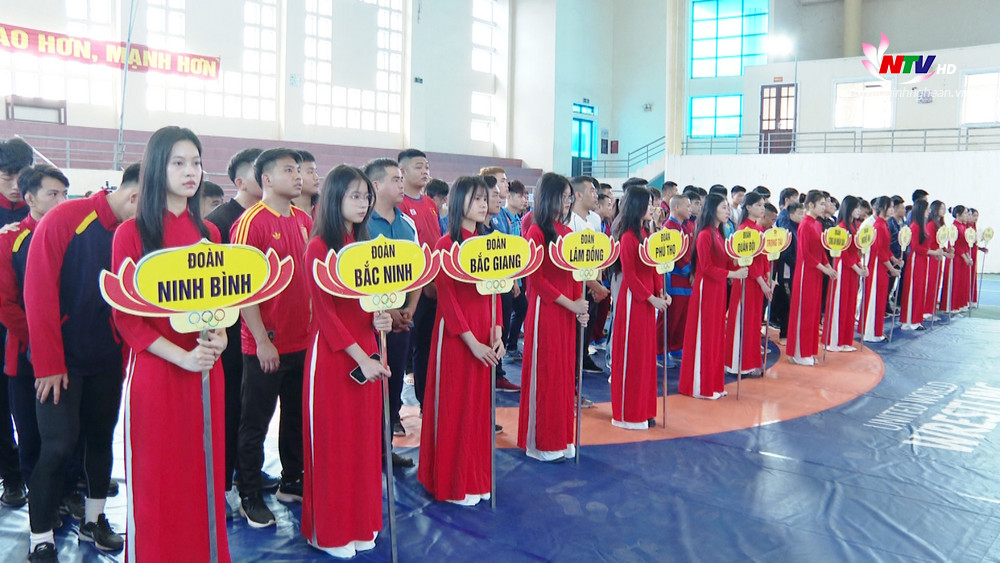 Giải đấu thu hút 200 đô vật đến từ 17 đoàn thuộc các tỉnh, thành, ngành có phong trào Vật dân tộc mạnh nhất trong cả nước