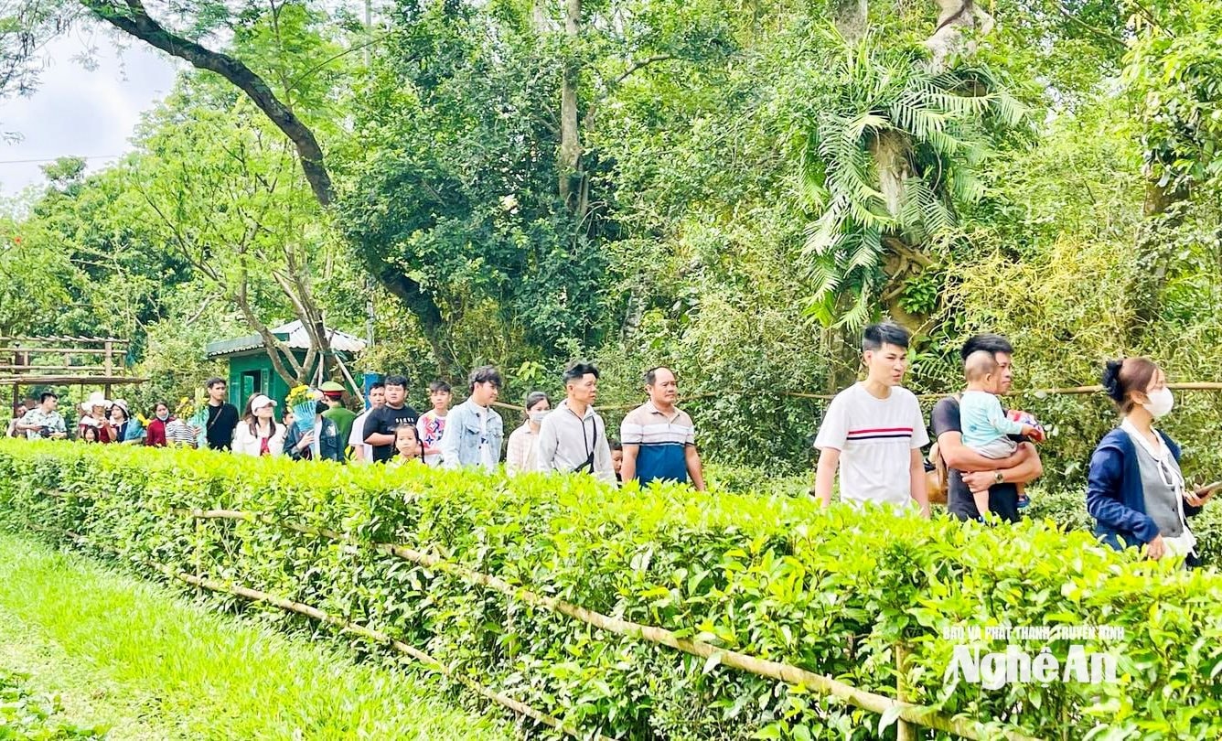 Du khách tham quan Khu Di tích Quốc gia đặc biệt Kim Liên. Ảnh: Minh Quân