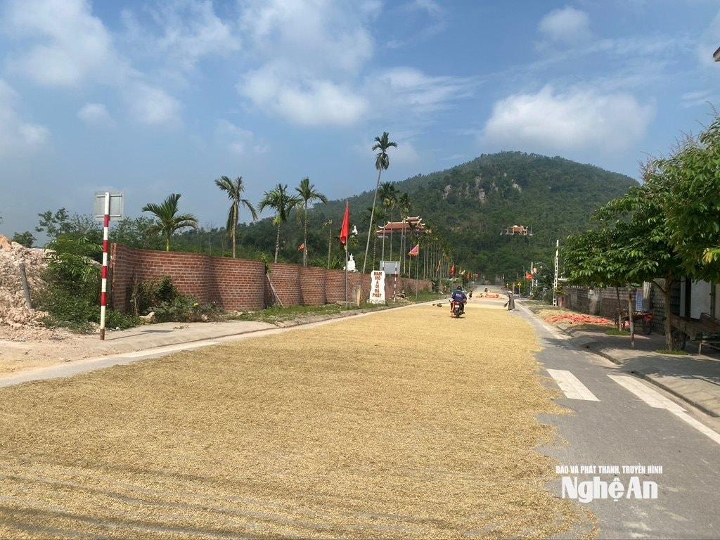 Nông dân Nghệ An phơi lúa ngay giữa cả lòng đường nhựa. Ảnh: Hải An