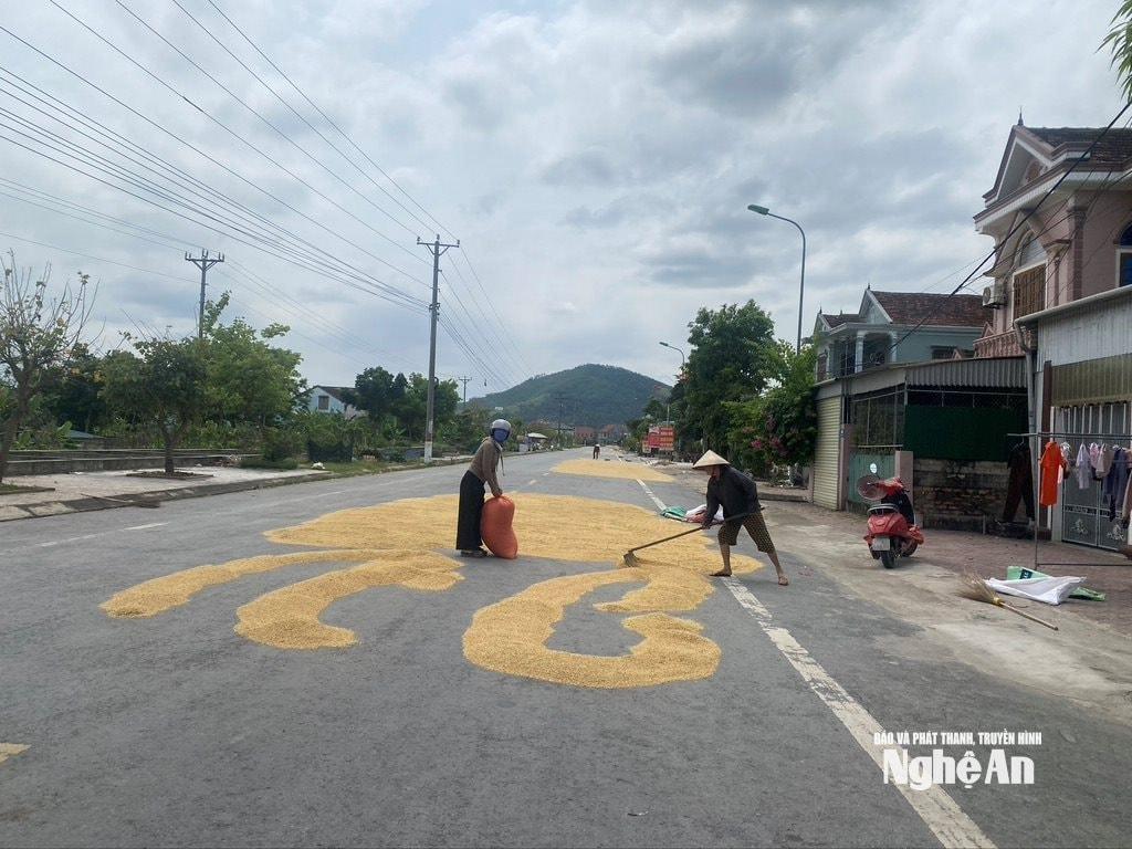 Người dân vô tư phơi lúa giữa lòng đường. Ảnh: Hải An