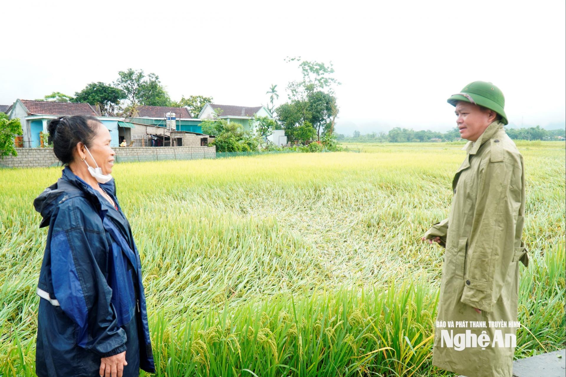 Lãnh đạo địa phương nắm tình hình thiệt hại do giông lốc.