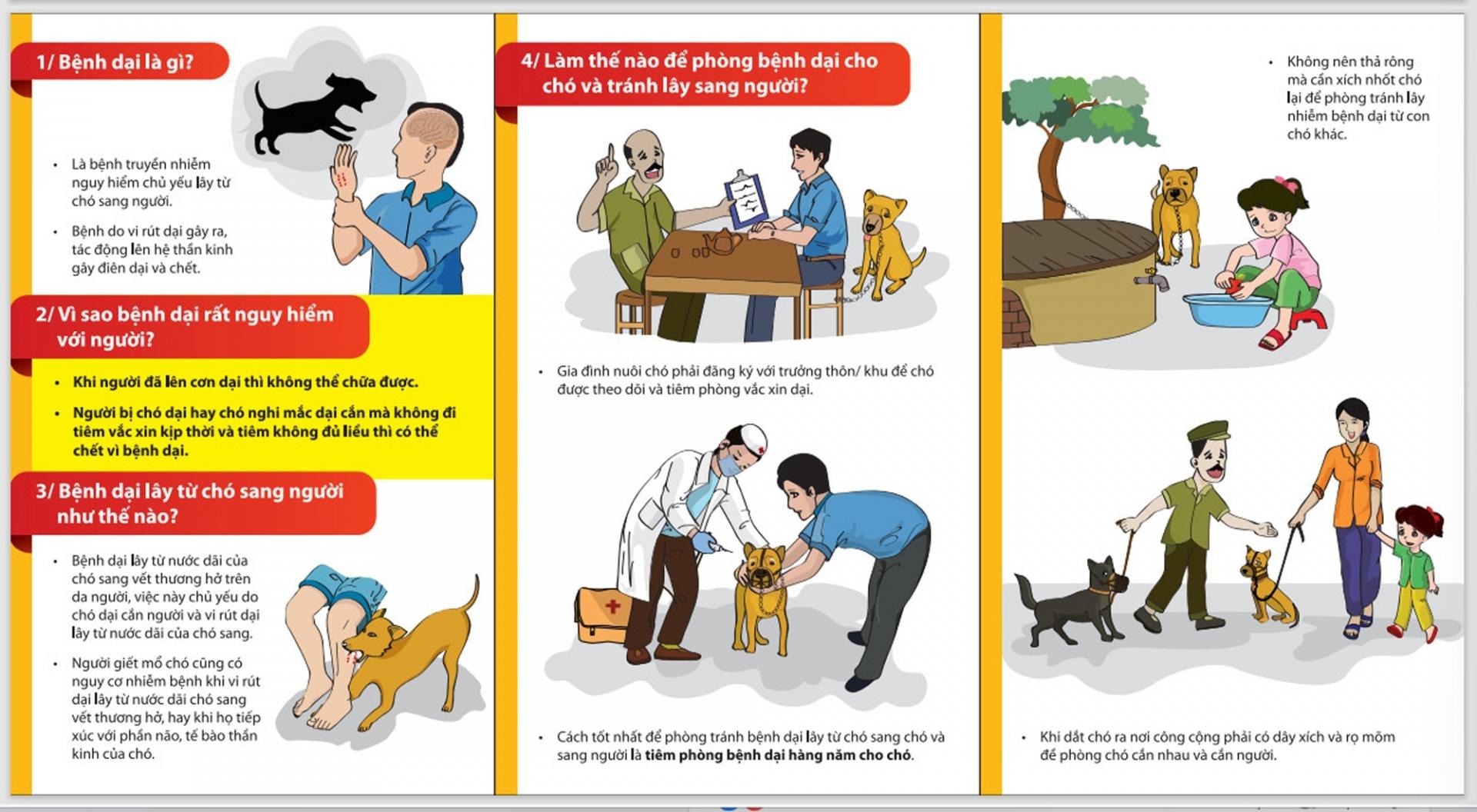Tiêm vắc-xin phòng dại vẫn là biện pháp duy nhất và hiệu quả để phòng ngừa bệnh dại cho người bị chó, mèo cắn. Ảnh minh hoạ: Internet