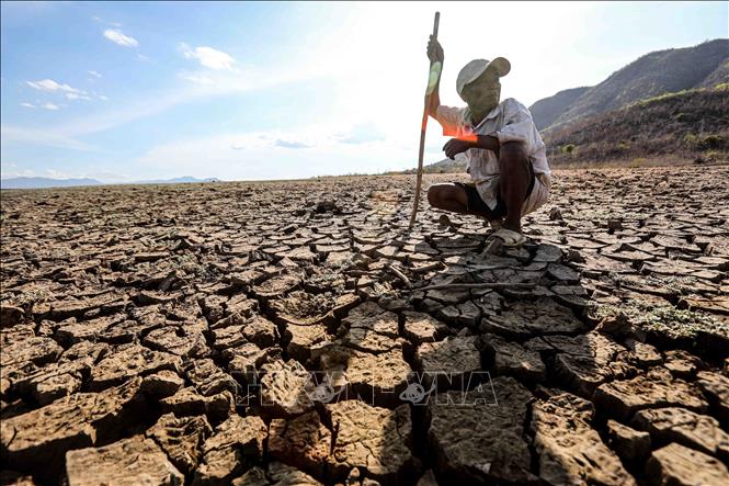 Hiện tượng El Nino đã bắt đầu từ tháng 6, Việt Nam đối diện nguy cơ xảy ra khô hạn cục bộ hoặc diện rộng. Ảnh: TTXVN.