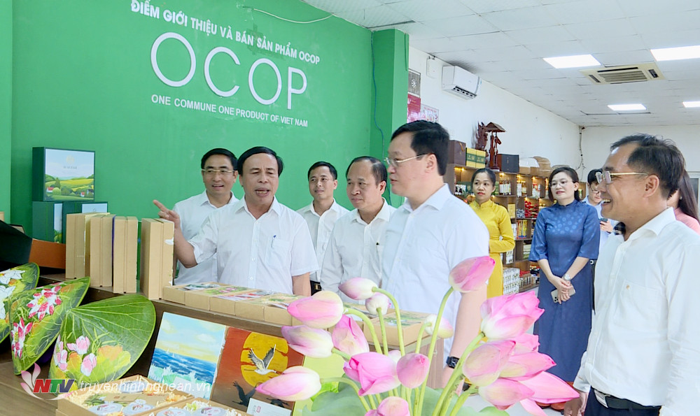 Chủ tịch UBND tỉnh Nguyễn Đức Trung tham quan gian hàng trưng bày các sản phẩm 