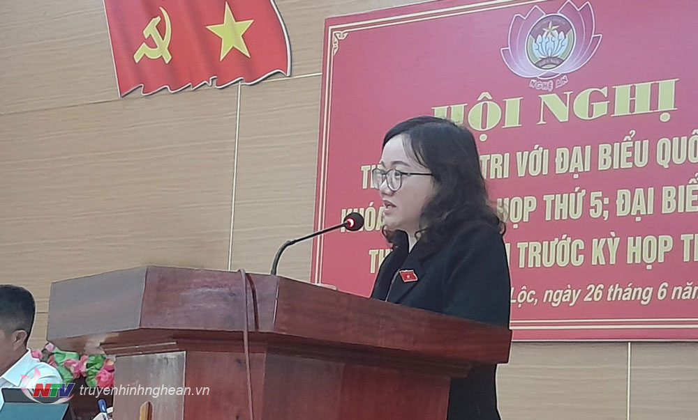 ĐBQH Thái Thị An Chung phát biểu kết luận hội nghị.