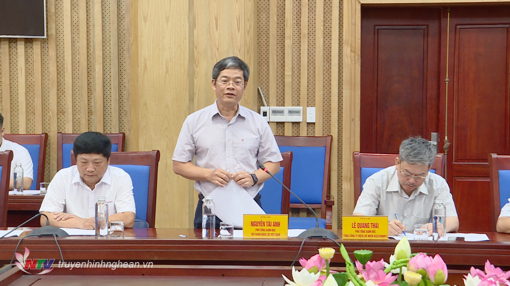 Phó Tổng GĐ Tập đoàn Điện lực Việt Nam Nguyễn Tài Anh phát biểu tại cuộc làm việc.