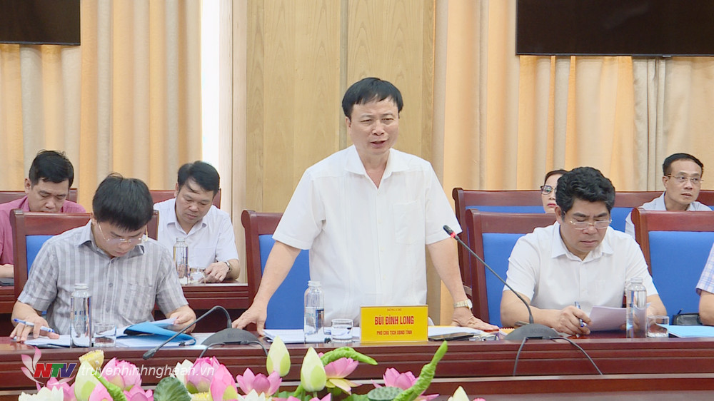 Phó Chủ tịch UBND tỉnh Bùi Đình Long phát biểu tại buổi làm việc.