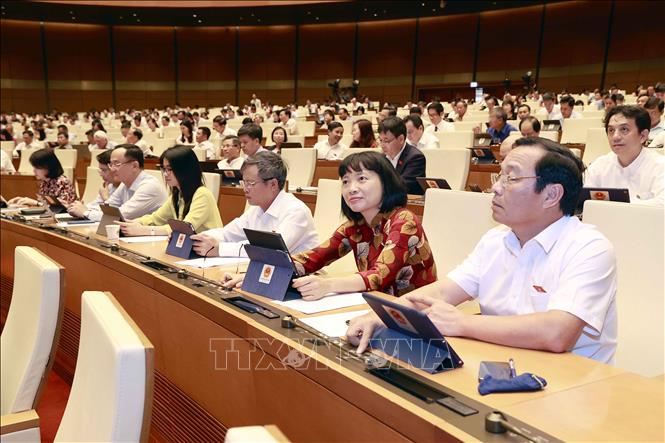 Đoàn đại biểu Quốc hội tỉnh Hải Dương biểu quyết thông qua Nghị quyết về việc thành lập Đoàn giám sát chuyên đề của Quốc hội năm 2024.