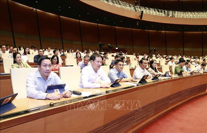 Đoàn đại biểu Quốc hội tỉnh Đồng Nai tham dự phiên họp ngày 22/6 tại Hội trường. Ảnh: Doãn Tấn/TTXVN