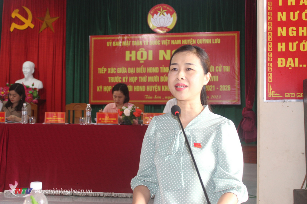 Bà Nguyễn Thị Quỳnh Hoa – Chủ tịch Hội LHPN tỉnh, Đại biểu HĐND tỉnh Nghệ An phát biểu tại buổi tiếp xúc.