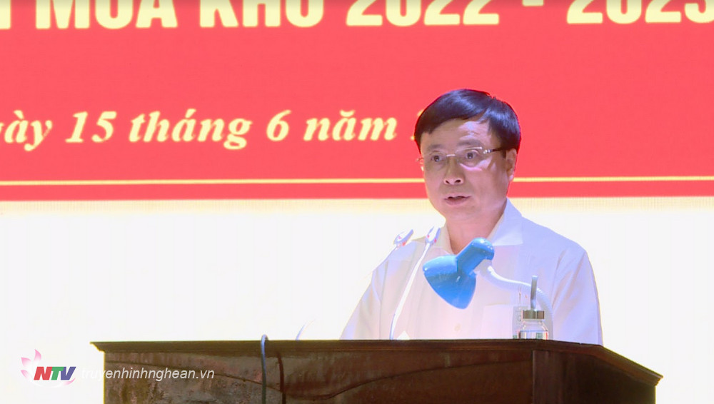 Phó Chủ tịch UBND tỉnh Bùi Đình Long phát biểu tại hội nghị.