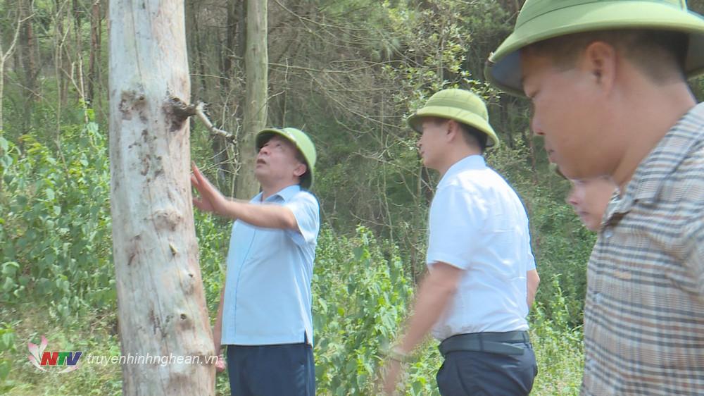 Phó Chủ tịch UBND tỉnh Nguyễn Văn Đệ kiểm tra thực tế phương án PCCCR tại huyện Nghi Lộc.