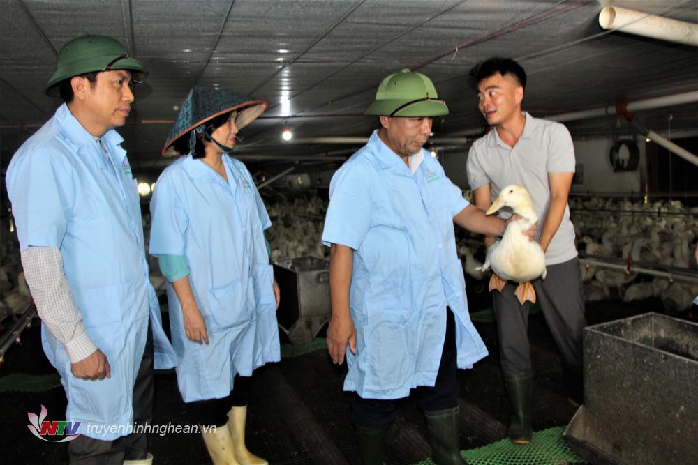 Đồng chí Nguyễn Văn Đệ kiểm tra mô hình nuôi vịt, gà công nghệ cao ở xã Thanh Lâm.