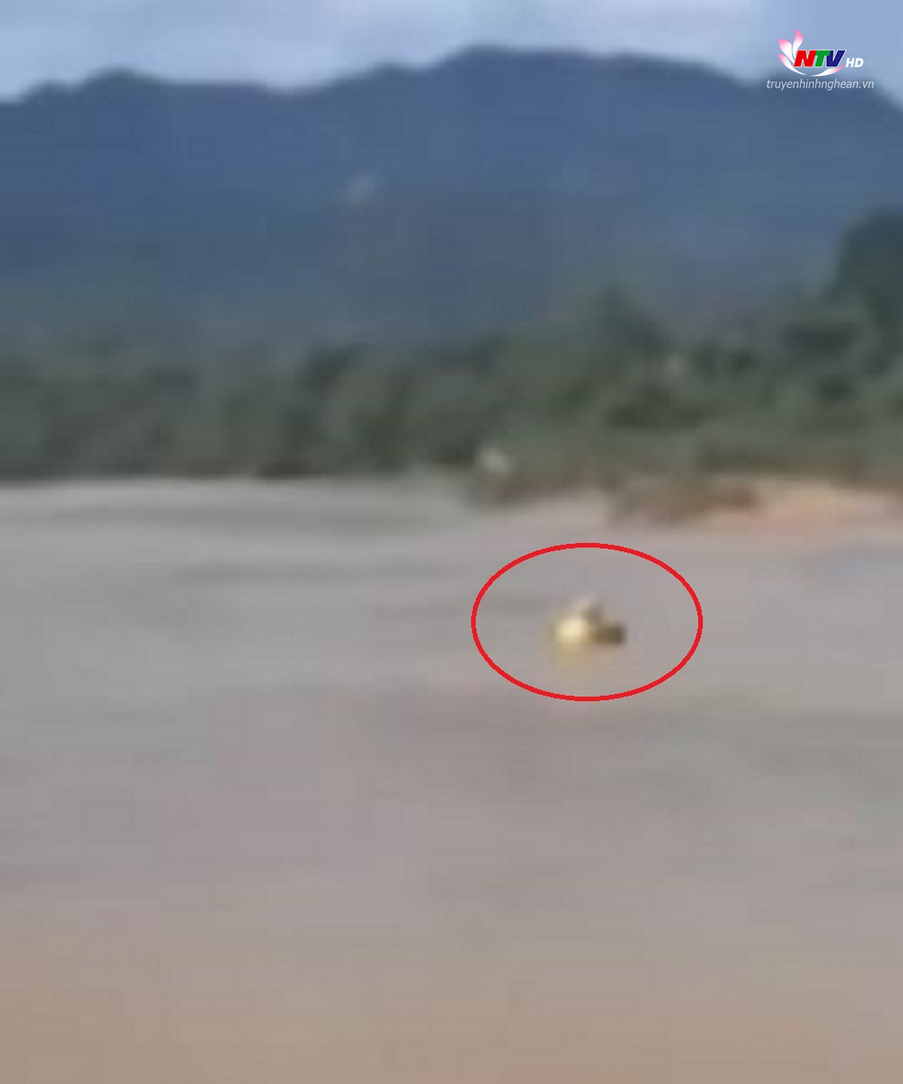 Hình ảnh Thượng úy Tạ Quang Quyết cứu cháu bé bị đuối nước ở sông Hiếu (Ảnh cắt từ video).