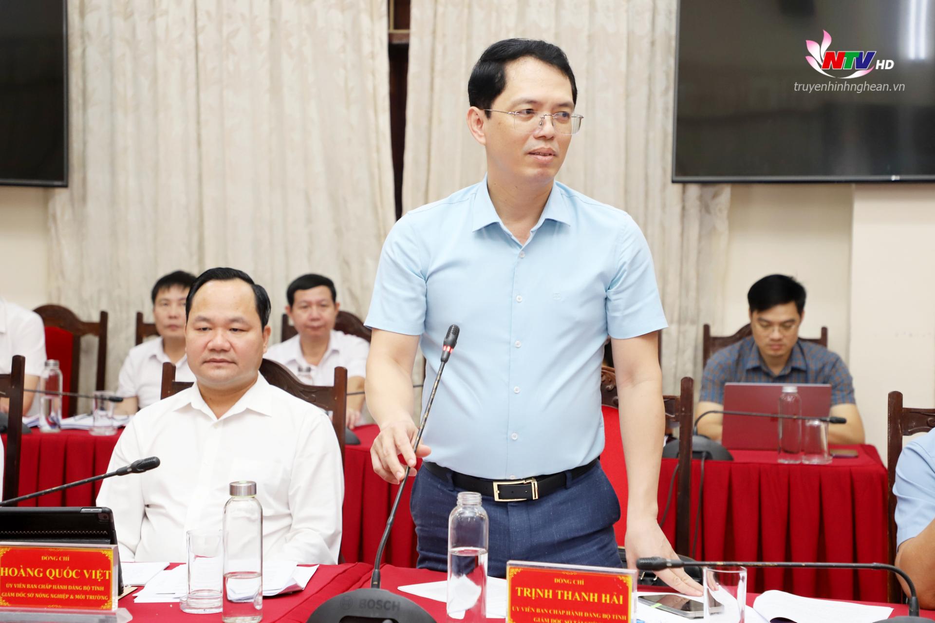 Giám đốc Sở Tài chính Trịnh Thanh Hải phát biểu tại cuộc họp.