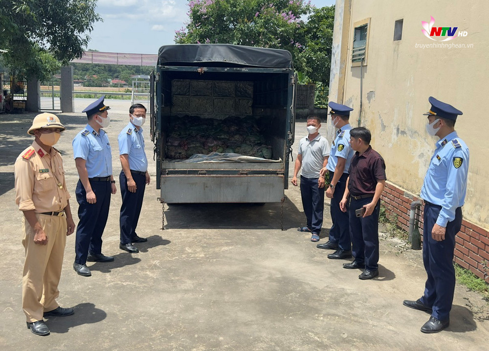 Xe tải chở 1,3 tấn nội tạng lợn đã bốc mùi hôi thối.