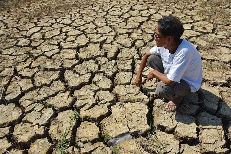 El Nino xuất hiện làm gia tăng nguy cơ hạn hán, thiếu nước và xâm nhập mặn tại nhiều khu vực. Ảnh: Đình Tuấn.