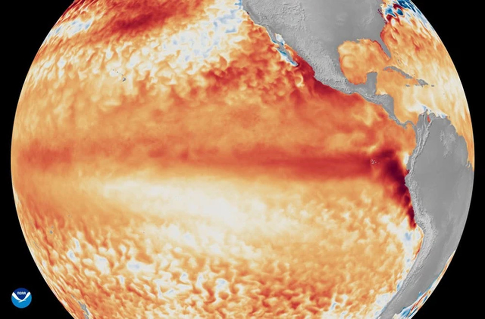 El Nino chính thức xuất hiện và có thể là El Nino mạnh nhất lịch sử kể từ năm 1950. Nguồn: NOAA
