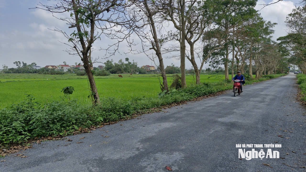 Dự án Khu thể thao và đô thị sinh thái phức hợp của Công ty CP Golf biển Cửa Lò nằm cạnh đường Hoàng Phan Thái kéo dài. Ảnh: Nhật Lân