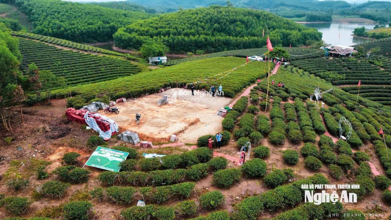 Một vị trí trung tâm vùng Đảo chè Cầu Cau có tình trạng xây dựng trái phép năm 2019 bị chính quyền lập biên bản xử lý vi phạm. Ảnh: Thành Cường