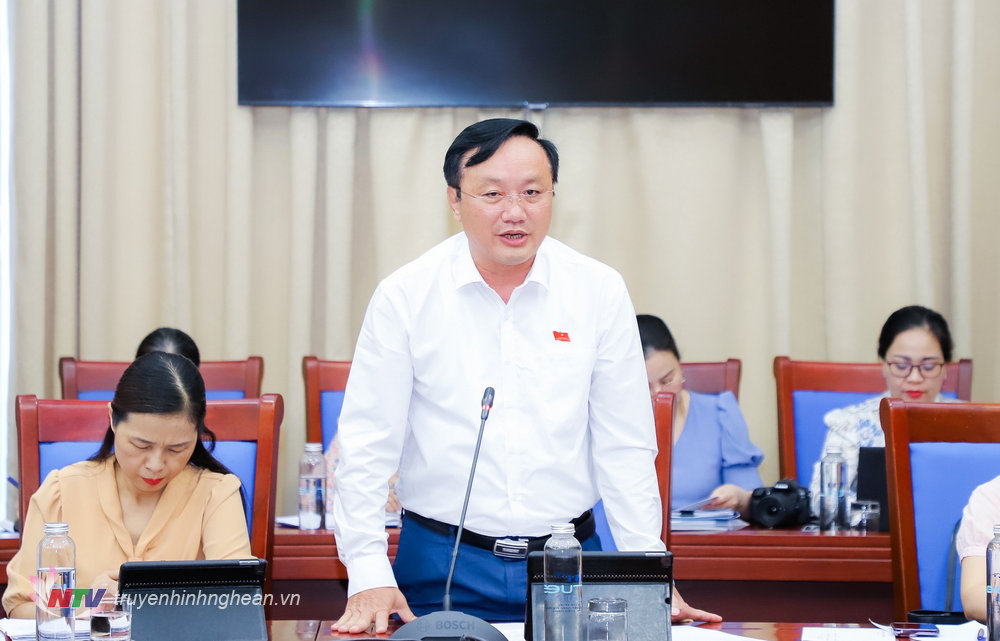 Đại biểu Nguyễn Hồng Sơn (đơn vị huyện Nam Đàn) phát biểu tại phiên thảo luận tổ. 
