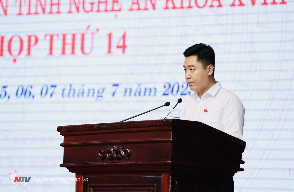 Ông Lê Văn Lương – Bí thư Tỉnh đoàn, Tổ trưởng, Tổ thảo luận số 3 trình bày báo cáo.