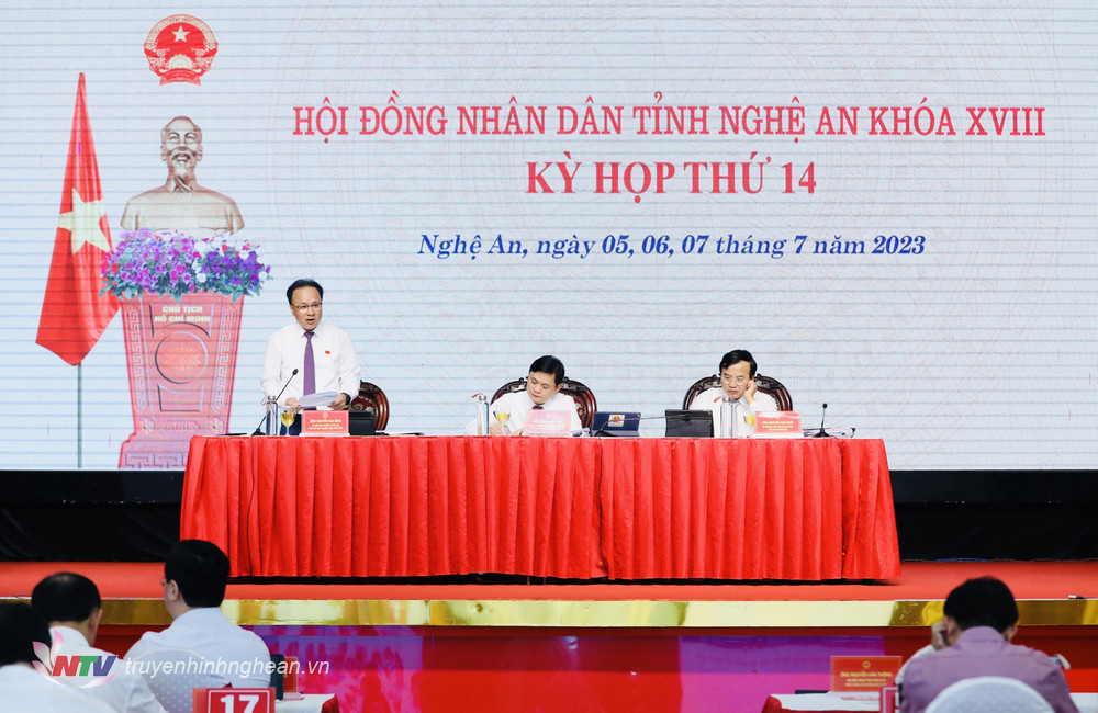 Đồng chí Nguyễn Nam Đình - Uỷ viên BTV Tỉnh uỷ, Phó Chủ tịch Thường trực HĐND tỉnh tổng kết phiên thảo luận tại hội trường.