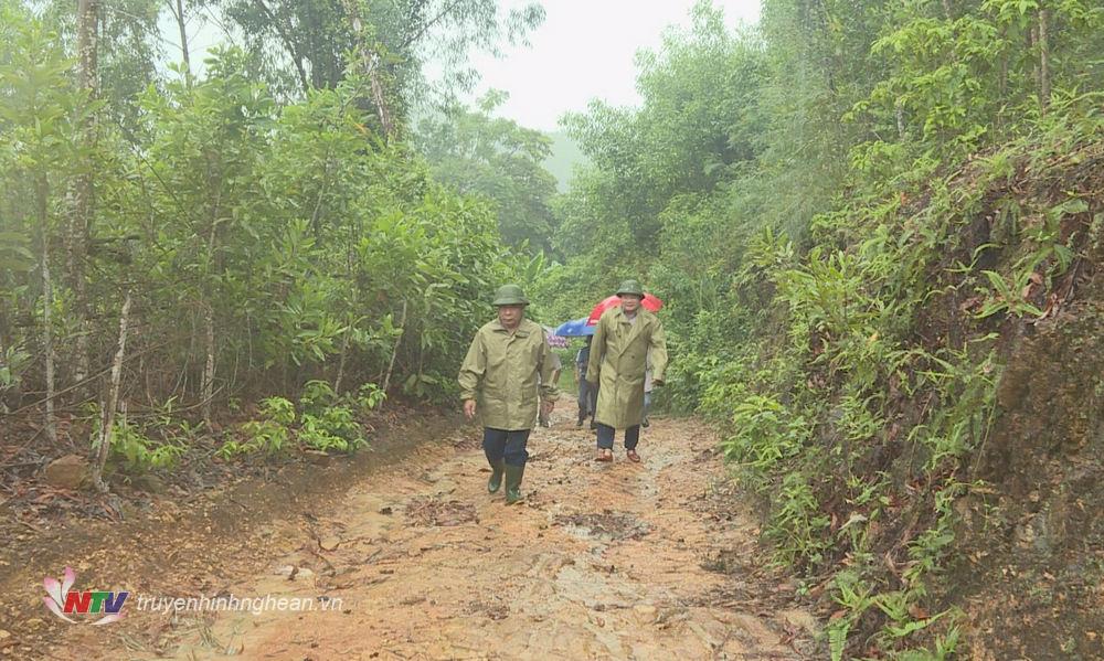 Phó Chủ tịch UBND tỉnh Nguyễn Văn Đệ cùng đoàn công tác kiểm tra điểm sạt lở tại rú Bùi xã Quang Sơn, Đô Lương.