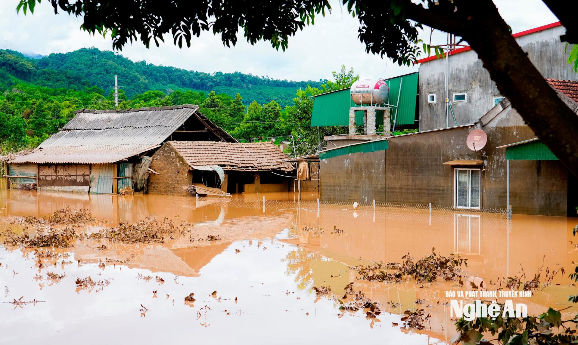 Nhiều gia đình tại xã Con Cuông đang bị ngập sâu trong nước. Ảnh: Phạm Bằng