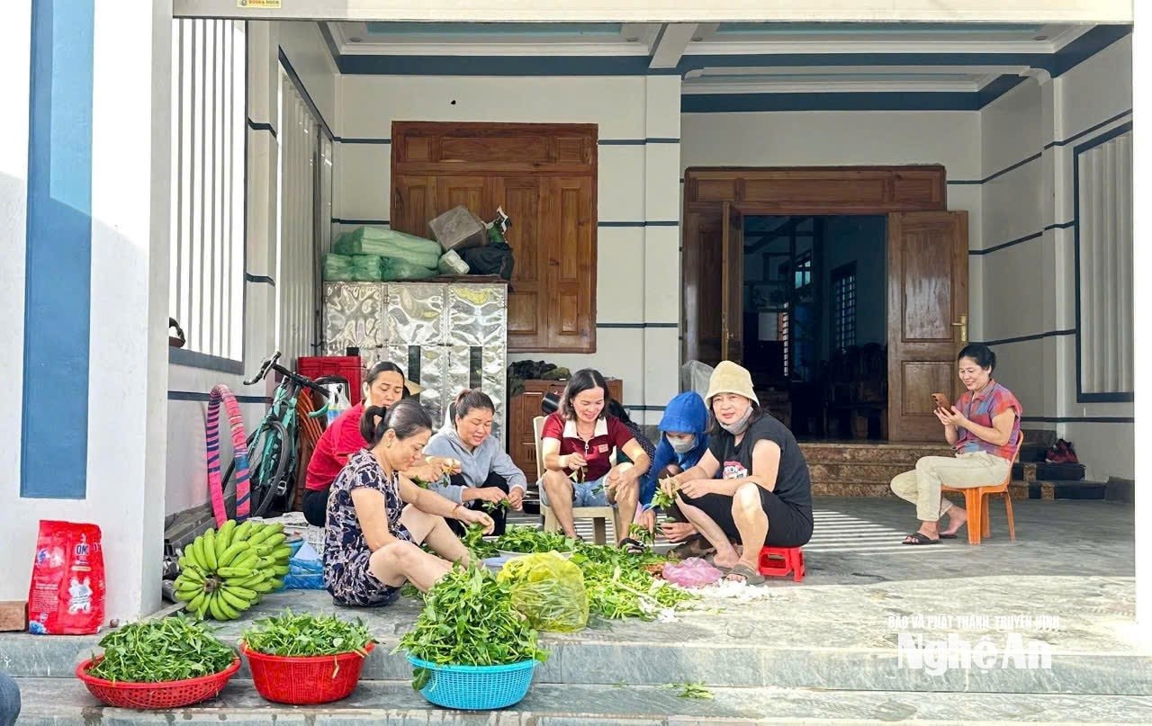 Chị em phụ nữ xóm Cây Chanh, xã Nhân Hoà góp công, góp sức nấu các suất ăn nghĩa tình hỗ trợ các hộ ngập lụt. Ảnh: T.P