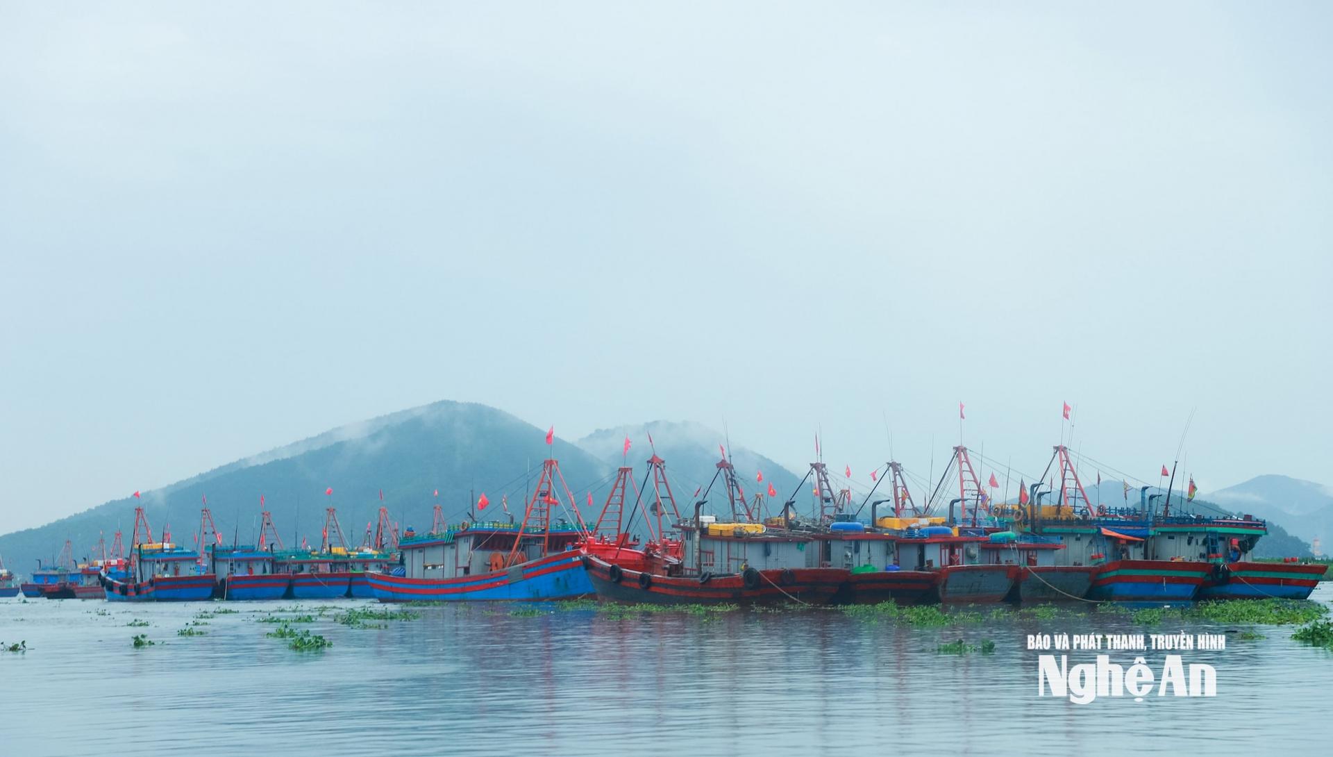 Tàu cá của ngư dân vào neo đậu tại Lạch Lò. Ảnh: Thành Duy