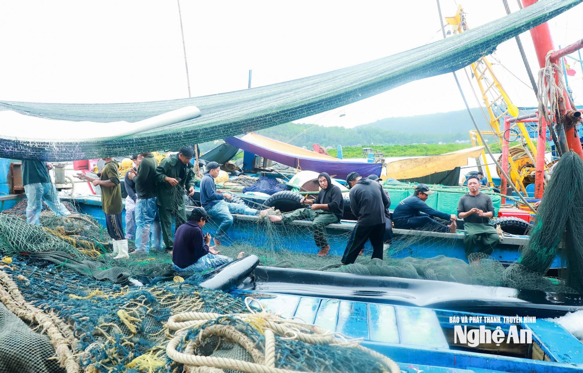 Ngư dân trên tàu cá được yêu cầu đưa vào đất liền, chỉ để lại lực lượng túc trực khi cần thiết và phải rời tàu ngay khi có cảnh báo từ cơ quan chức năng. Ảnh: Thành Duy