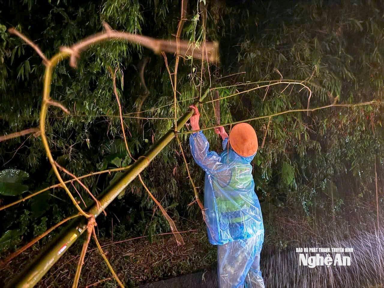 Tại các điểm bị ảnh hưởng, Đội Cảnh sát giao thông đường bộ số 2 (Phòng Cảnh sát giao thông – Công an tỉnh Nghệ An) đã nhanh chóng huy động lực lượng, phương tiện đến hiện trường tổ chức dọn dẹp, thu dọn các vật cản, đảm bảo giao thông thông suốt và an toàn cho người dân. Ảnh: P.V