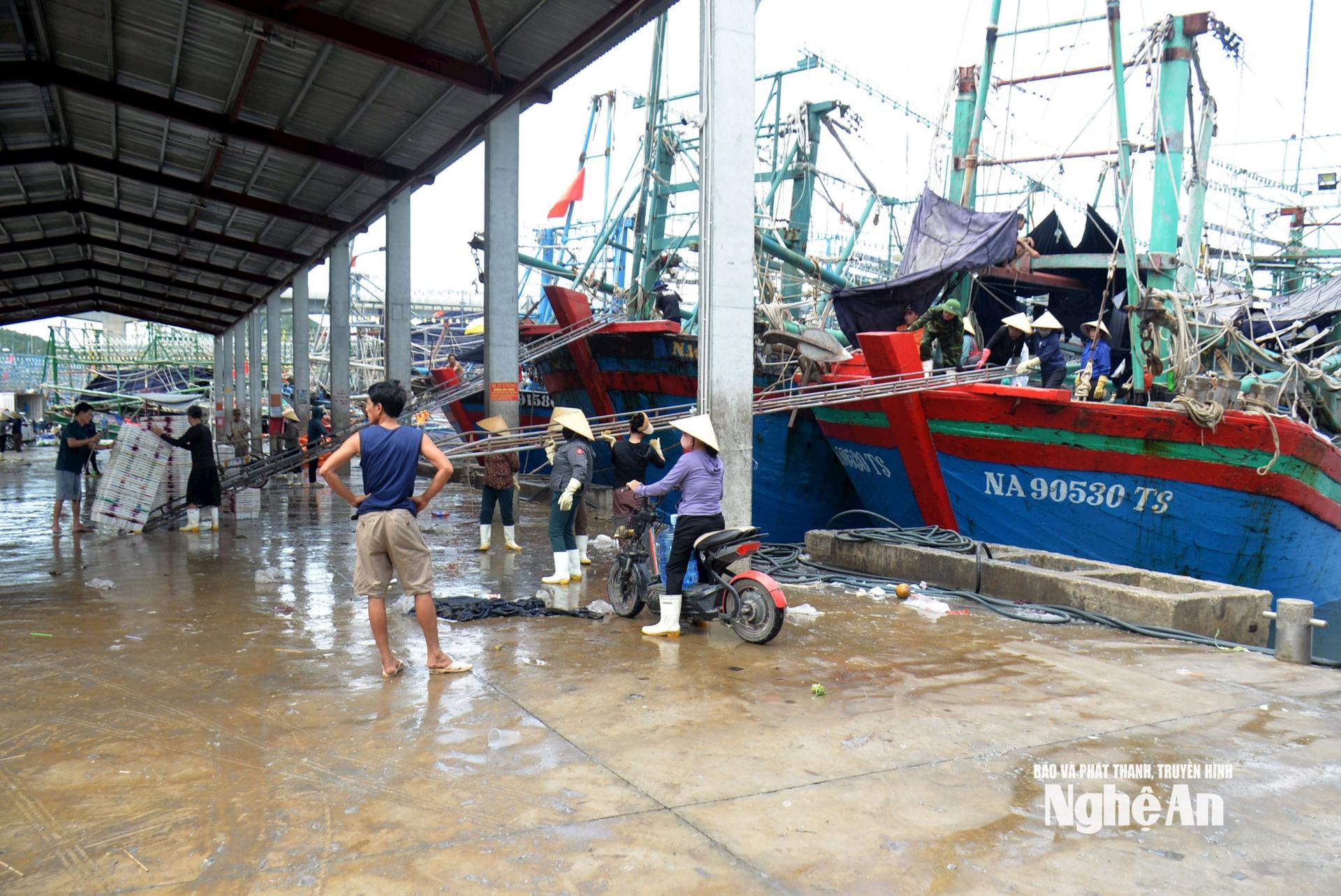 Trong ngày 20/7, ngư dân sẽ phải về cập cảng cá để tránh trú bão số 3. Ảnh: Xuân Hoàng