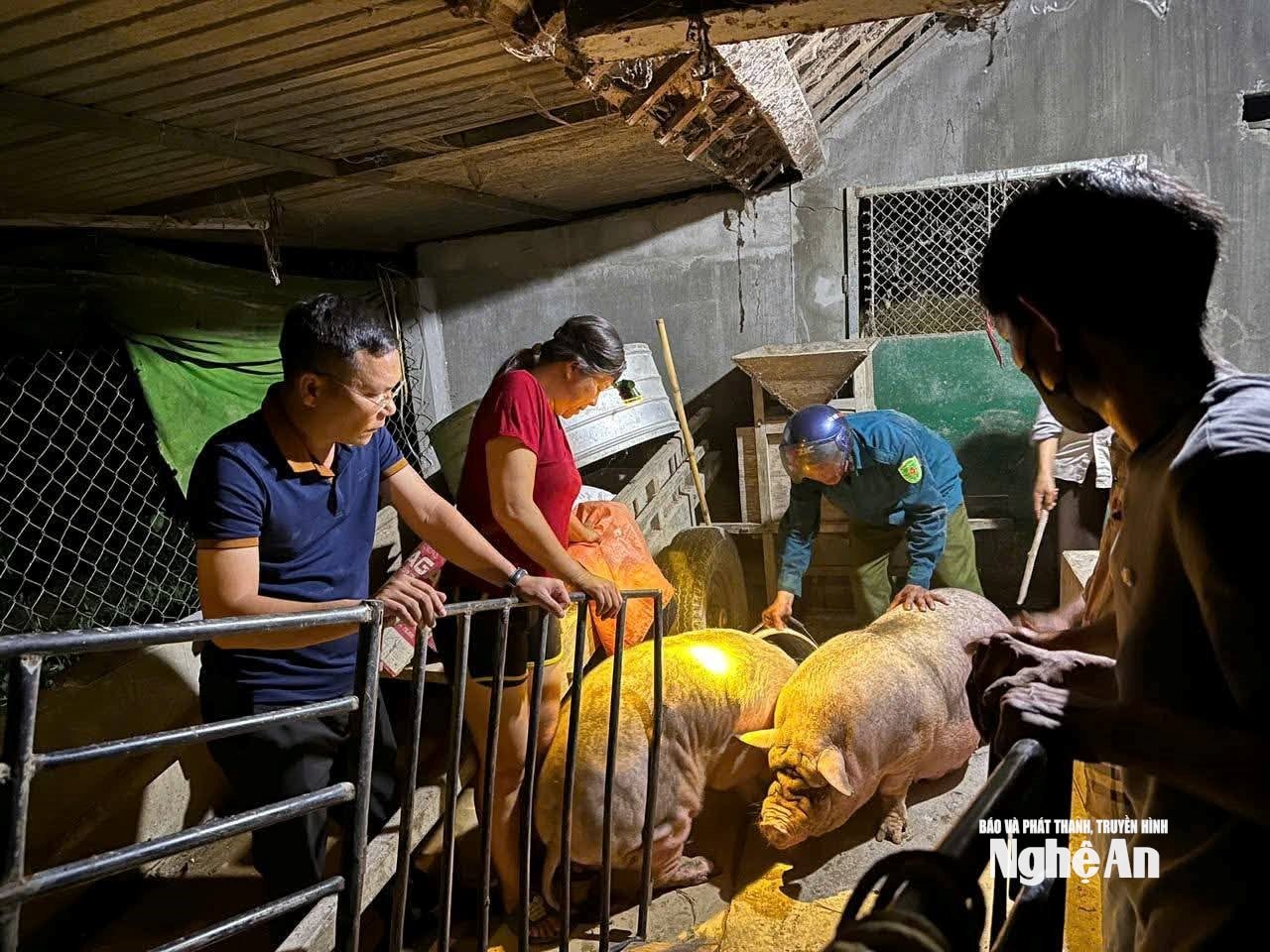 Tài sản của người dân cũng được hỗ trợ di dời an toàn. Ảnh: T.P