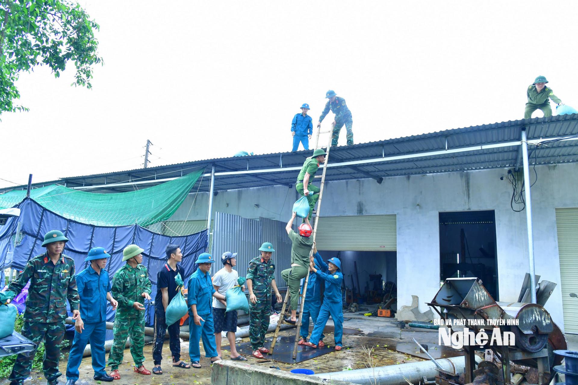 Cán bộ, nhân viên Ban Chỉ huy Phòng thủ khu vực 2 – Quỳnh Lưu phối hợp với các lực lượng Dân quân, Công an giúp dân chằng chống nhà cửa chống bão số 3.