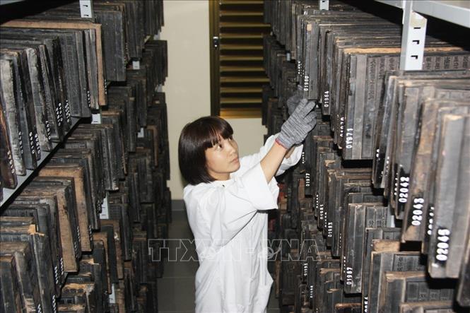 Mộc bản Triều Nguyễn được bảo quản tại Trung tâm Lưu trữ quốc gia IV tại (Đà Lạt). Ảnh tư liệu: TTXVN