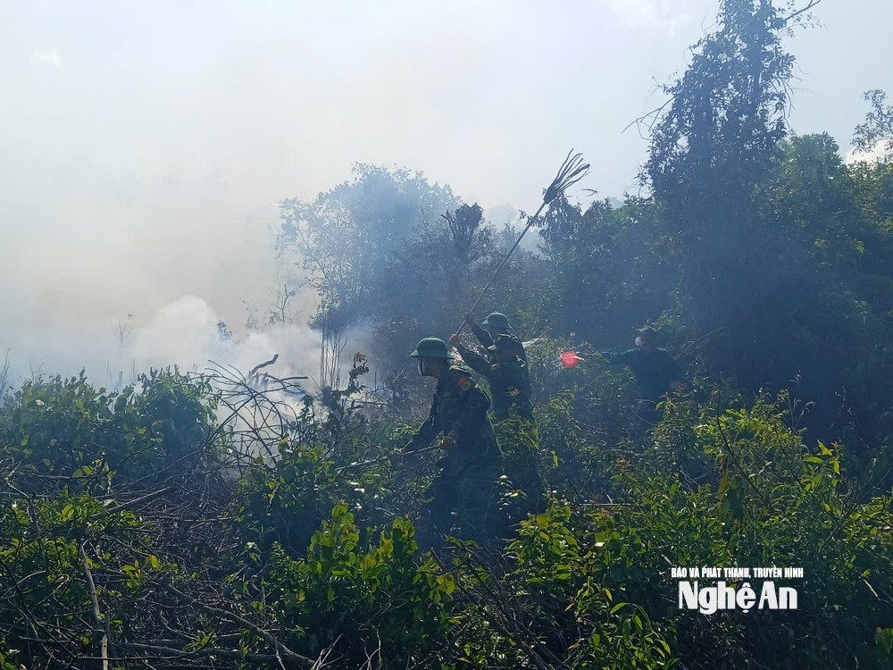 CBCS Đồn Biên phòng Quỳnh Phương, Ban Chỉ huy Bộ đội Biên phòng, Bộ Chỉ huy Quân sự tỉnh Nghệ An tham gia chữa cháy rừng.