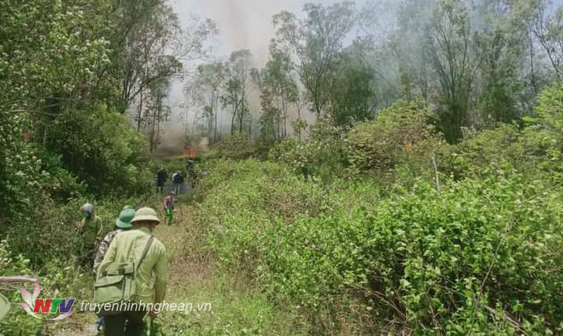 Các lực lượng được huy động chữa cháy rừng.