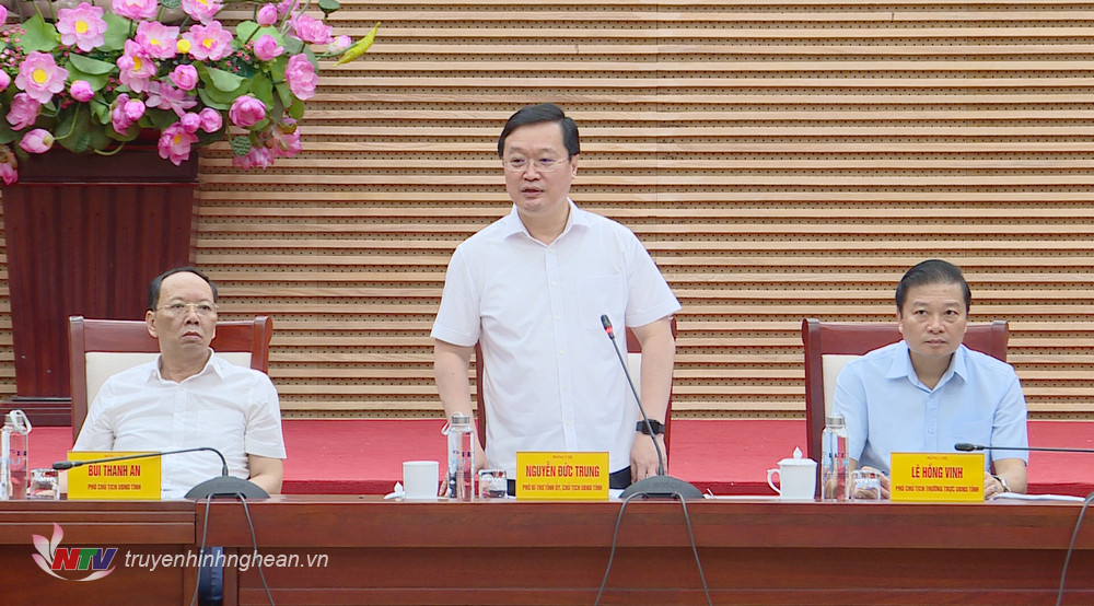 Chủ tịch UBND tỉnh Nguyễn Đức Trung phát biểu kết luận hội nghị. 
