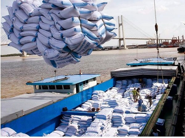 Giá gạo Việt Nam trên thị trường thế giới tăng liên tục trong hai tuần qua - Ảnh: IT