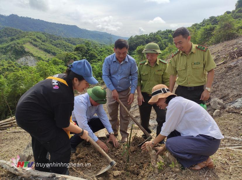 Triển khai trồng cây tại các khu vực đã được quy hoạch.