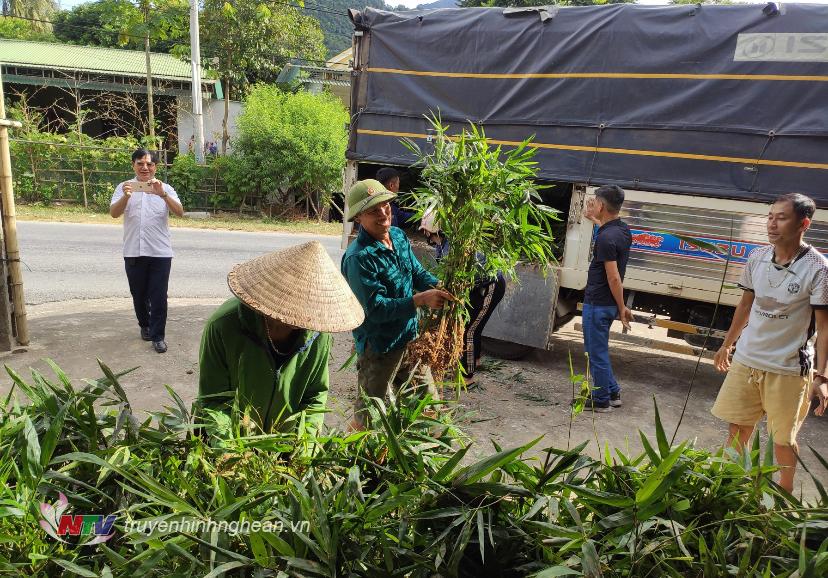 Phân phát giống cây cho các hộ trên địa bàn.