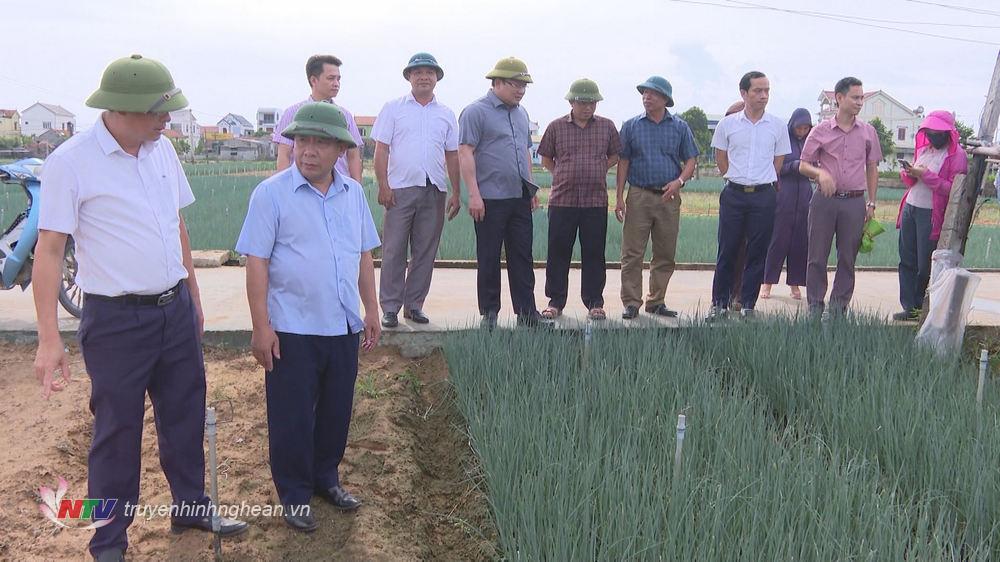 Kiểm tra vụ màu tại xã Diễn Lộc, huyện Diễn Châu.