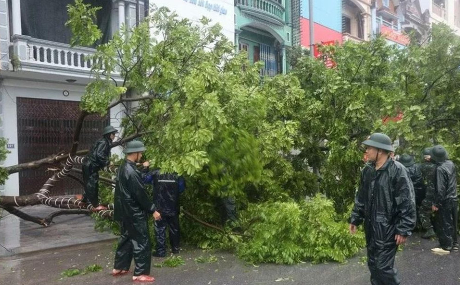 Ngay sau khi phát hiện có cây xanh bị đổ, Bộ CHQS tỉnh Hưng Yên đã điều lực lượng nhanh chóng đến hiện trường để xử lý, dọn dẹp.