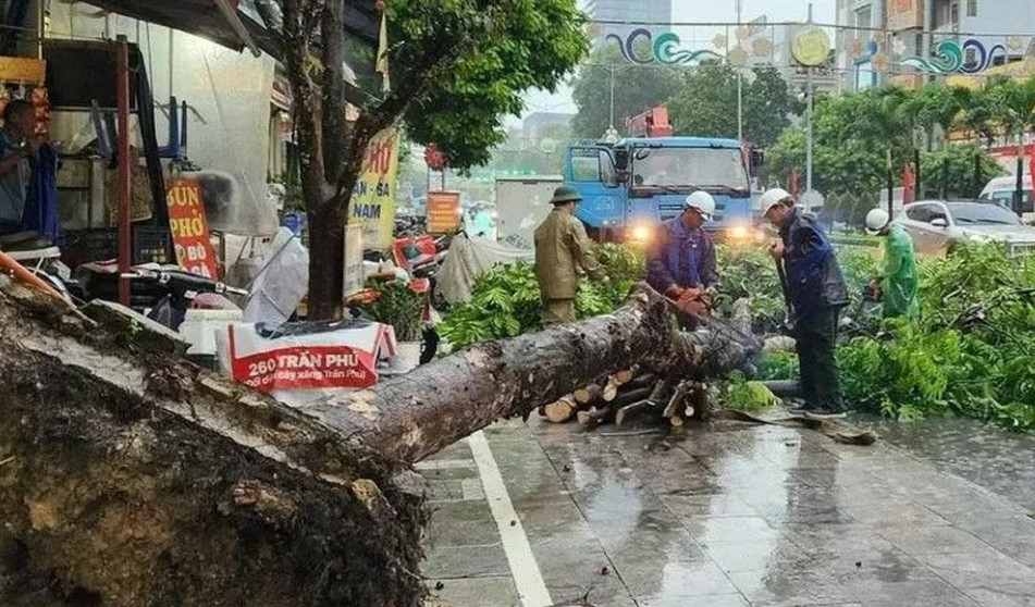 Cây xanh đổ la liệt ở TP. Thanh Hóa