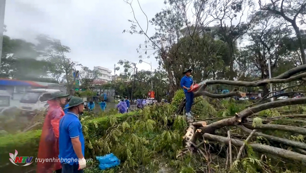 Trước đó, hơn 100 đoàn viên Thanh niên tỉnh Nghệ An đã lên đường ra tỉnh Hải Phòng hỗ trợ người dân khắc phục hậu quả cơn bão số 3.